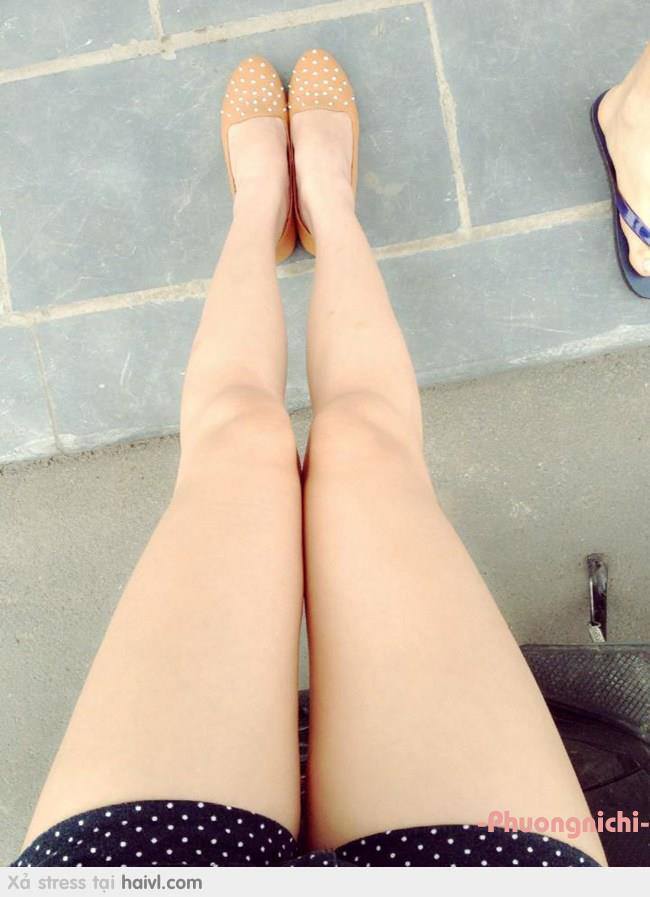 完美世界在线观看免费完整观看40集